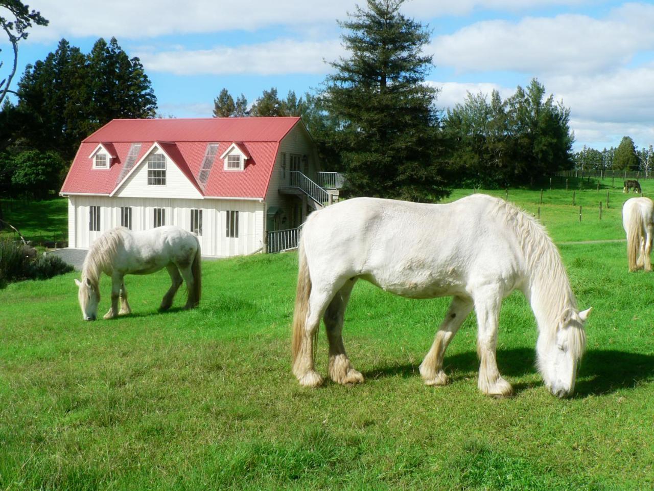 The Carriage House-Bay Of Islands Villa Керикери Екстериор снимка